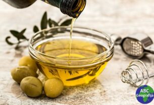 posuda s maslinovim uljem