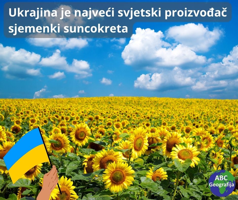 Ukrajina je najveći svjetski proizvođač sjemenki suncokreta