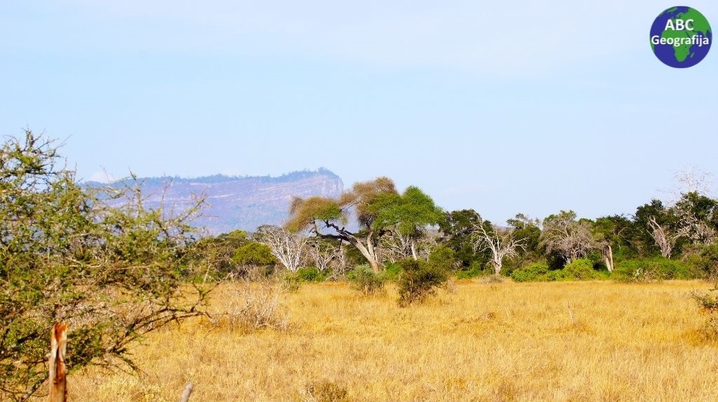 Krajolik savane u Africi (Kenija)