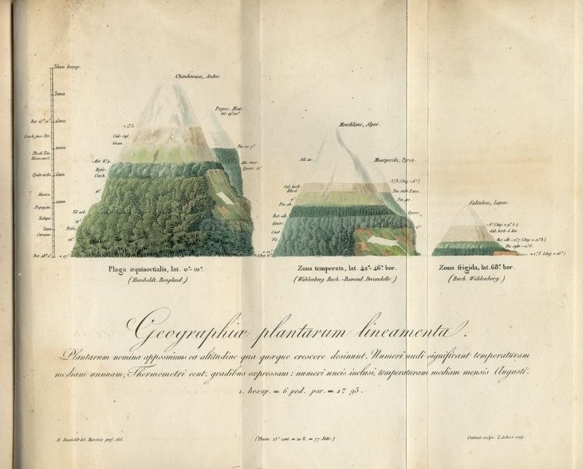 Humboldtova skica iz 1817. godine koja prikazuje geografsku rasprostranjenost biljaka izvor: APS muzej