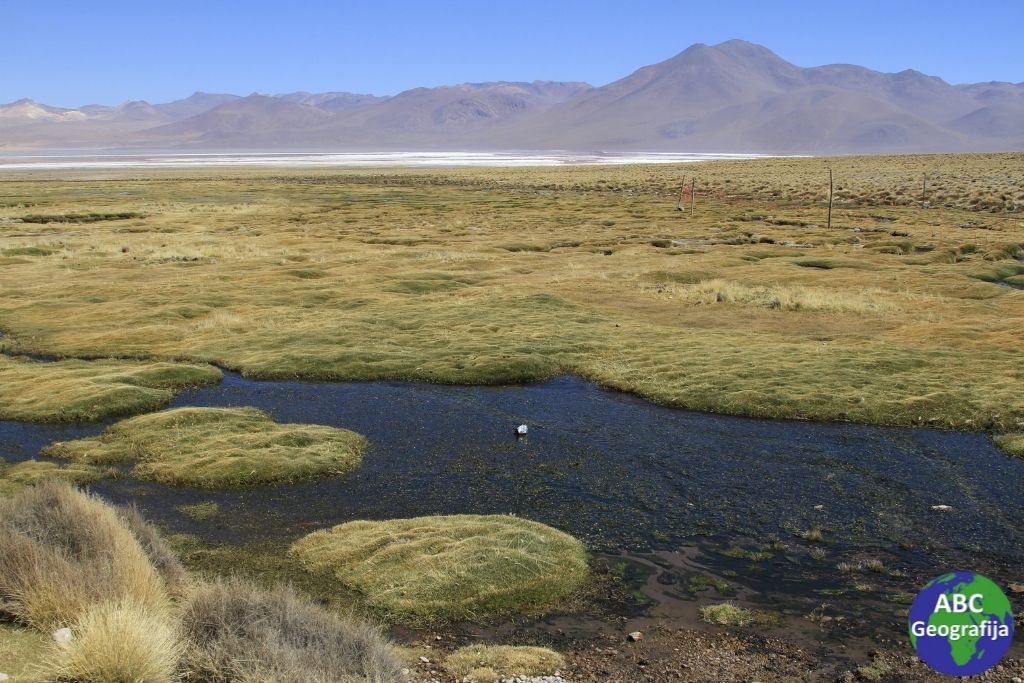 Močvarno područje Llanos de Moxos u Boliviji