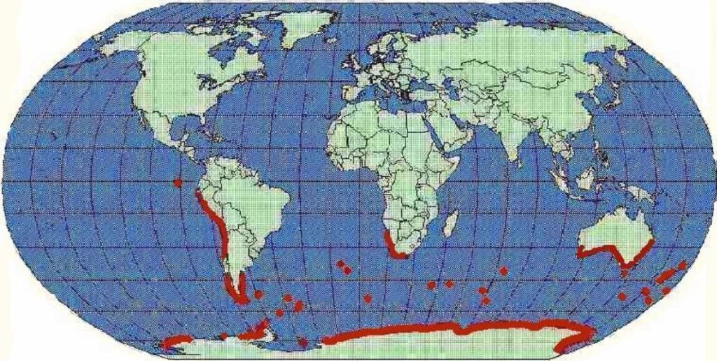 Globalna raspodjela pingvina - karta